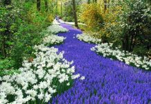 LA Arboretum & Botanical Garden